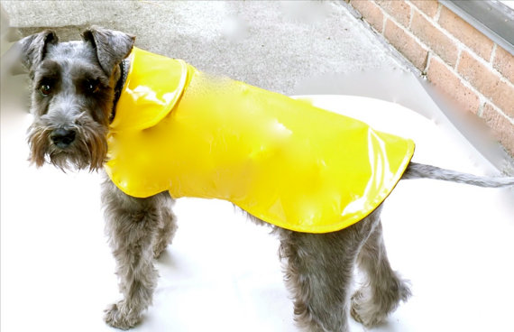 Ártico creativo perturbación ropa para perro de lluvia Archives - Divine Chien